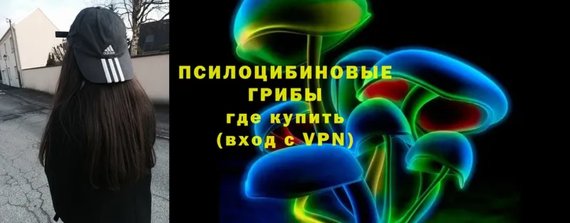 где найти   Рассказово  Галлюциногенные грибы Psilocybe 